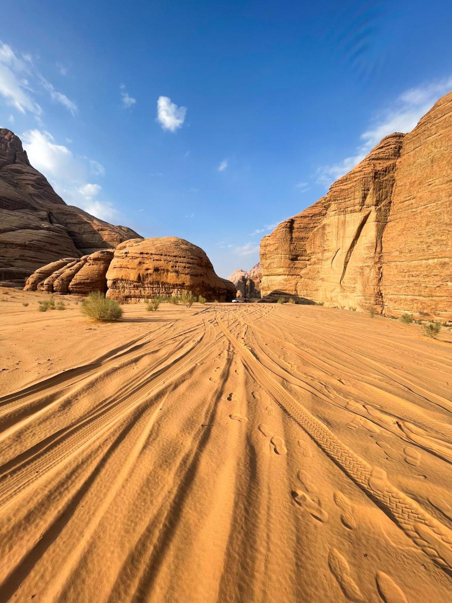 Wadi Rum Stargazing Camp Eksteriør bilde